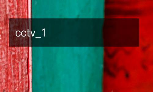 cctv_1