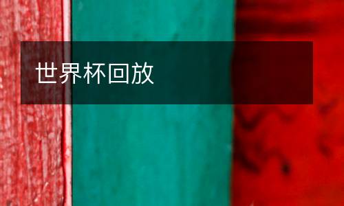 世界杯回放