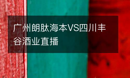 廣州朗肽海本VS四川豐谷酒業(yè)直播