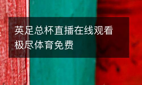 英足總杯直播在線觀看極盡體育免費(fèi)