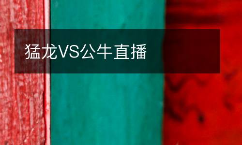 猛龍VS公牛直播