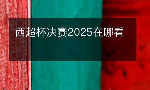 西超杯決賽2025在哪看