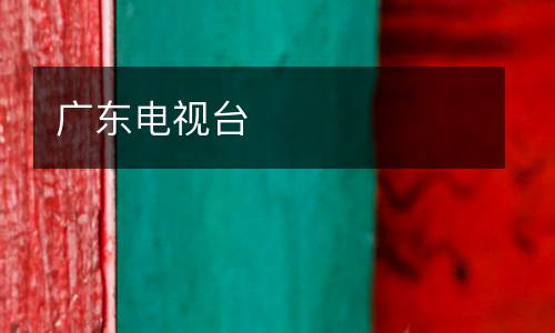 廣東電視臺(tái)