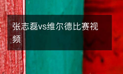 張志磊vs維爾德比賽視頻